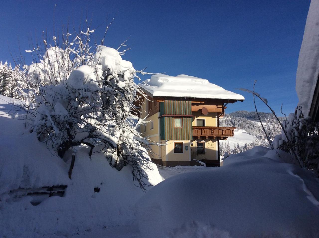 Appartamento Haus Erika Wagrain Esterno foto