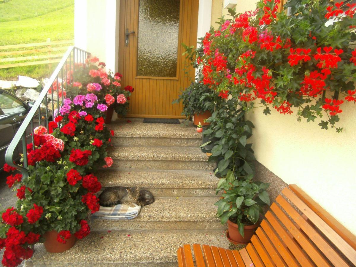 Appartamento Haus Erika Wagrain Esterno foto